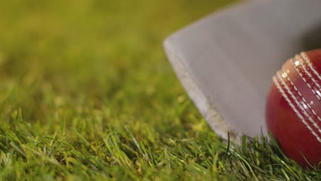 cricket still life with close up of ball and bat lying in grass