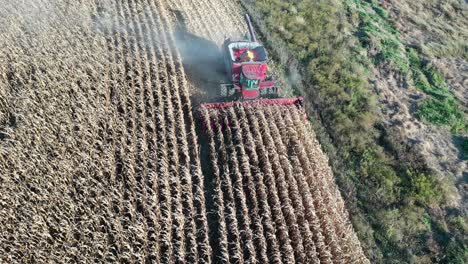 aerial view of combine harvesting corn