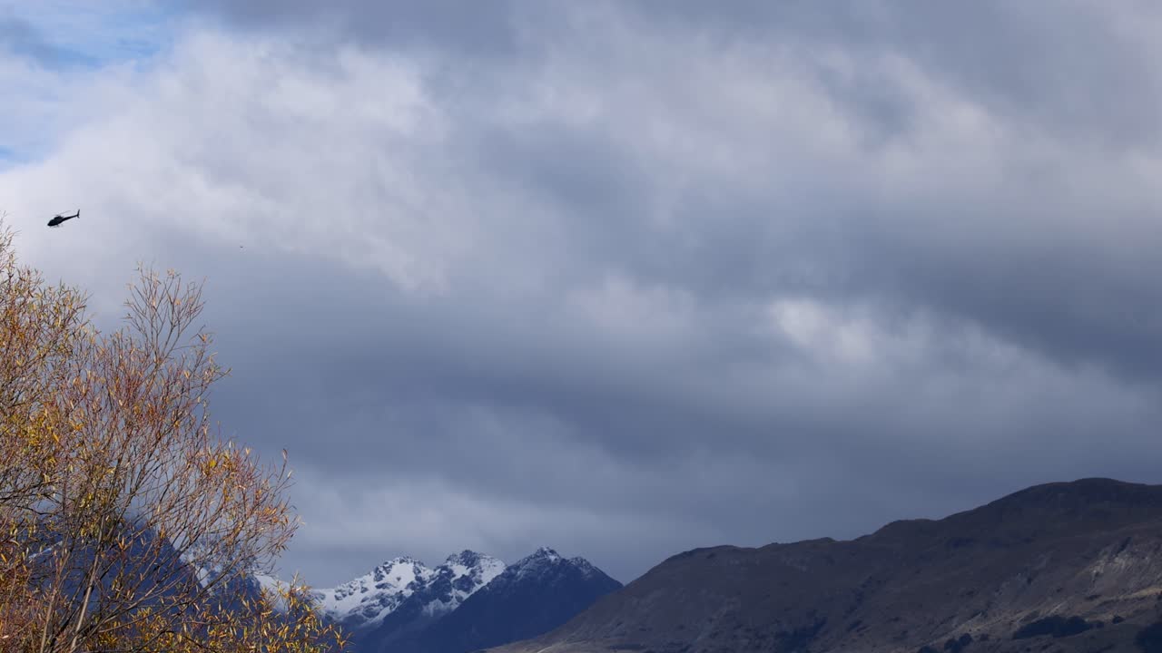 A bird gracefully flies over a scenic mountain range with cloudy skies and autumn trees in Glenorchy, New Zealand