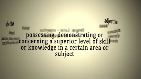 Definition: Expert