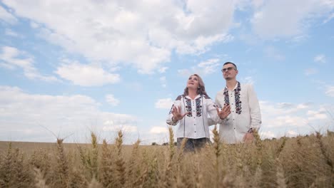 a beautiful ukrainian family in the middle of the field in embroidered shirts a ukrainian couple in national clothes sings in a wheat field a beautiful ukrainian family in the middle of the field in embroidered shirts