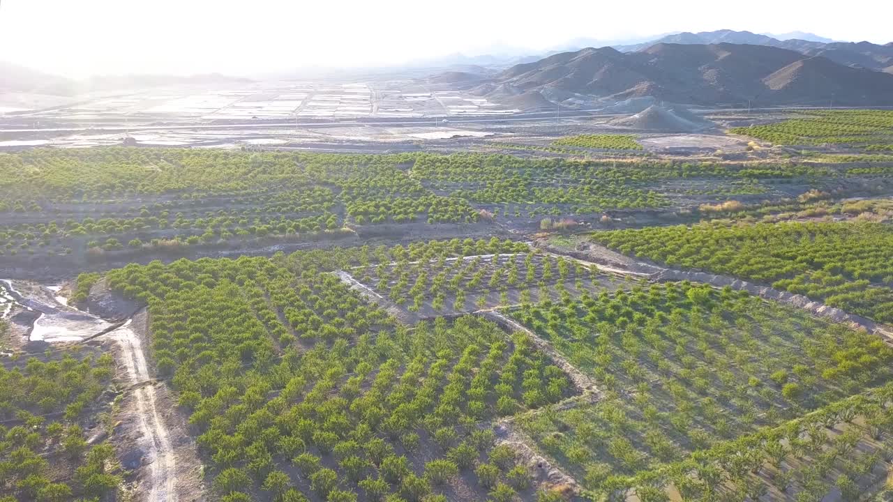 봄에 농장 위를 날다