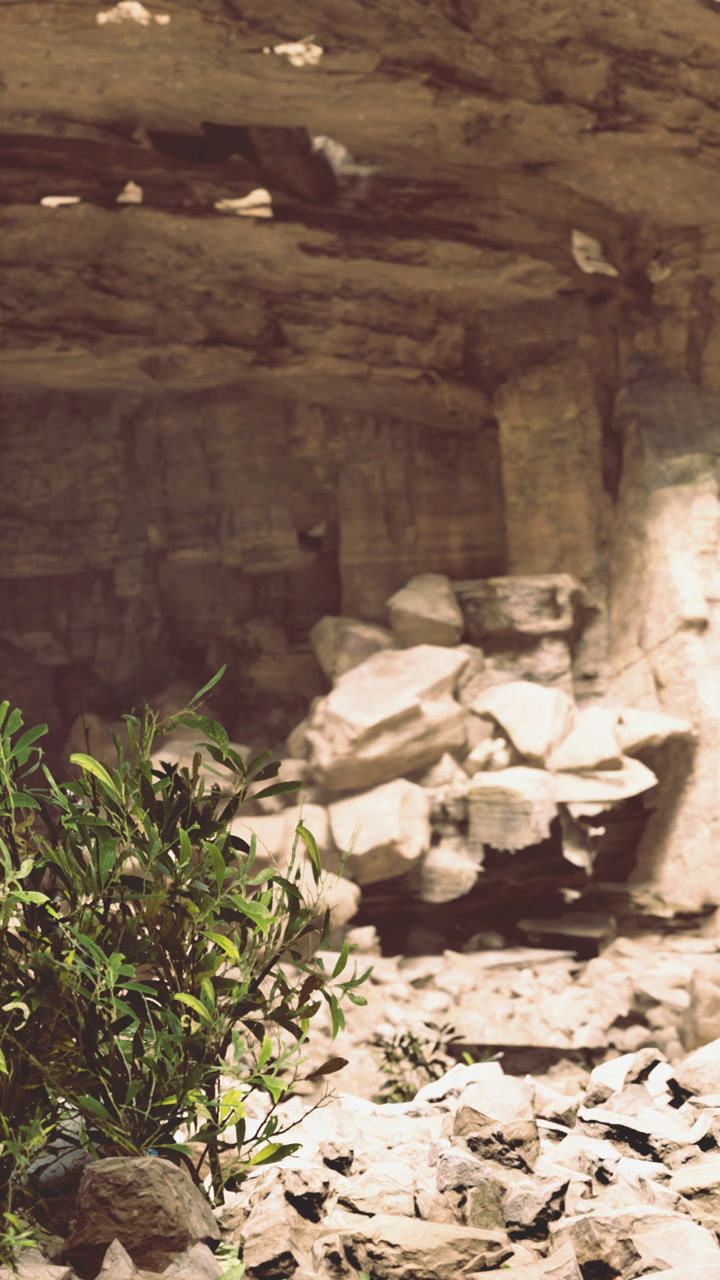 Rock formation in cave with green plant during daytime hours