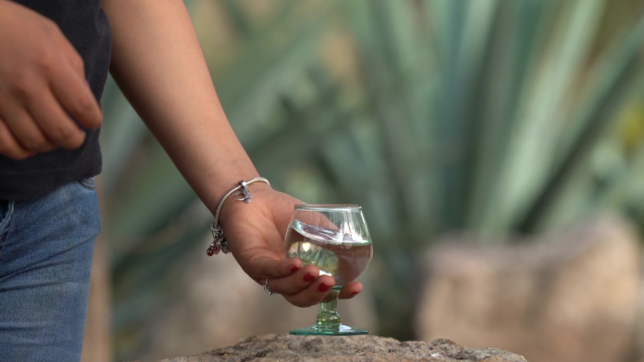 Bicchiere da shot tradizionale riempito con mezcal artigianale, circondato da piante di agave blu nella campagna messicana. Scena rustica all'aperto che celebra autentici distillati messicani