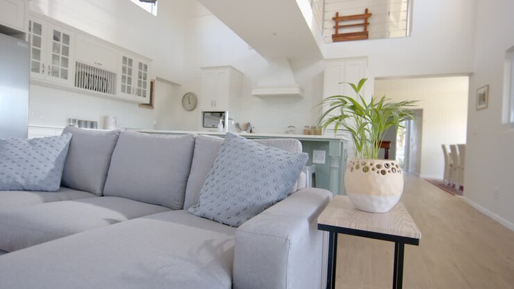 Sofá gris, planta de interior y ventana en un hogar soleado