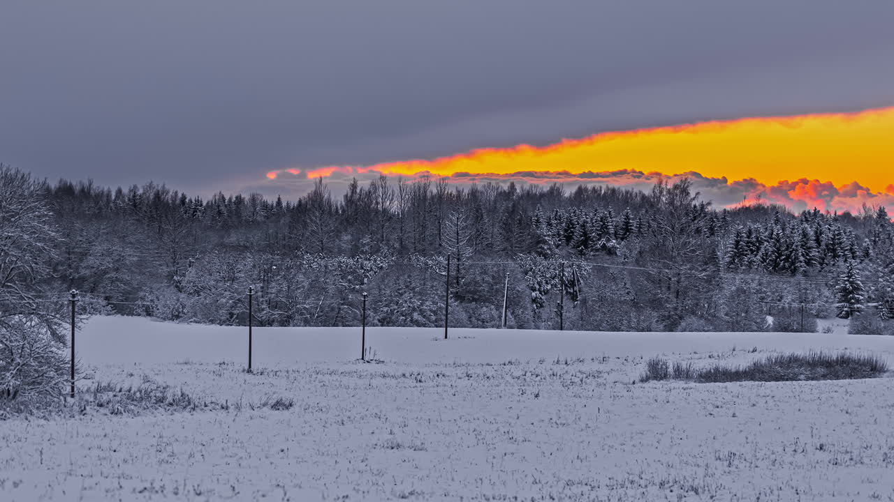 timelapse de la tarde en el prado congelado y el bosque boreal