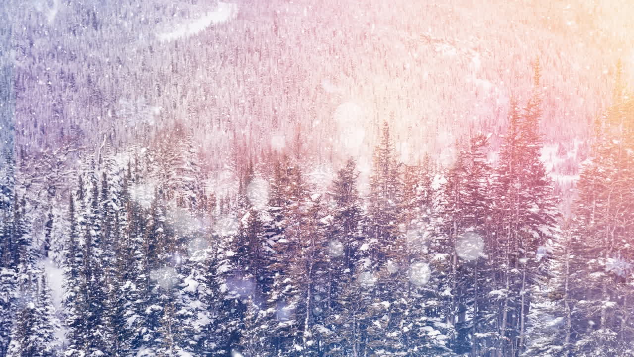 시골 에 눈 이 내리고 있다