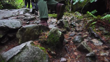 slow-motion: hiker woman walking along rocky path in a forest 4k