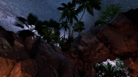 4K-hyperlapse-star-trails-over-sandstone-canyon-walls-and-palms