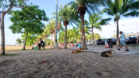 escena de la playa con palmeras y personas