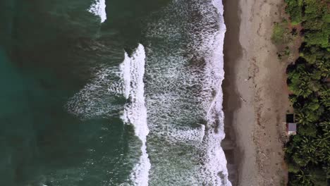 aerial static top down drone time lapse, waves break on tropical beach