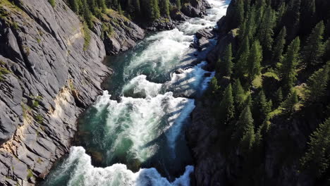 rushing river rapids in a green forested canyon