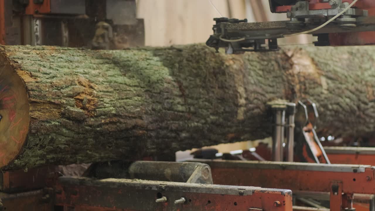 Máquina de Serraria Industrial Cortando um Grande Tronco de Árvore