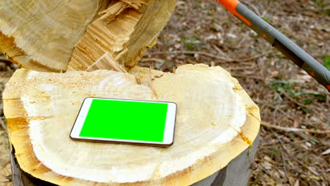 tableta digital en el tronco del árbol 4k
