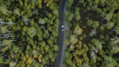 vista aérea de la conducción de automóviles a través del circuito alpino en medio del bosque en las montañas wasatch, utah, estados unidos