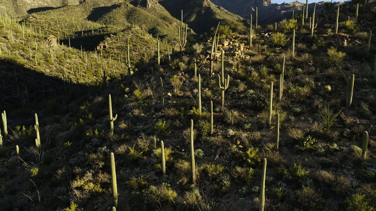 video de un dron atravesando la extensión del desierto de sonora
