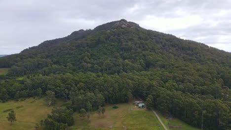 Eucalyptus-Forest-And-Rainforest-At-Middle-Brother-National-Park-In-Mid-North-Coast,-NSW-With-Pacific-Highway-Revealed