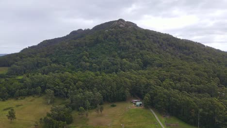 bosque de eucaliptos y selva tropical en el parque nacional del hermano medio en la costa norte media, nsw con la autopista del pacífico revelada