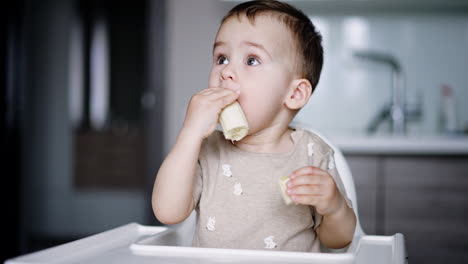 baby sitting at high chair takes banana to eat. kid shoves fruit into mouth and drops the rest. blurred backdrop.