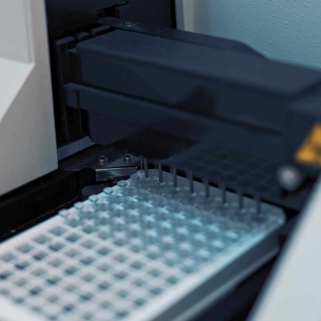 Blood research in scientific workplace