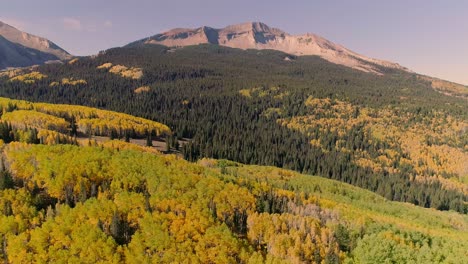 álamos tembloses girando en kebler pass, colorado