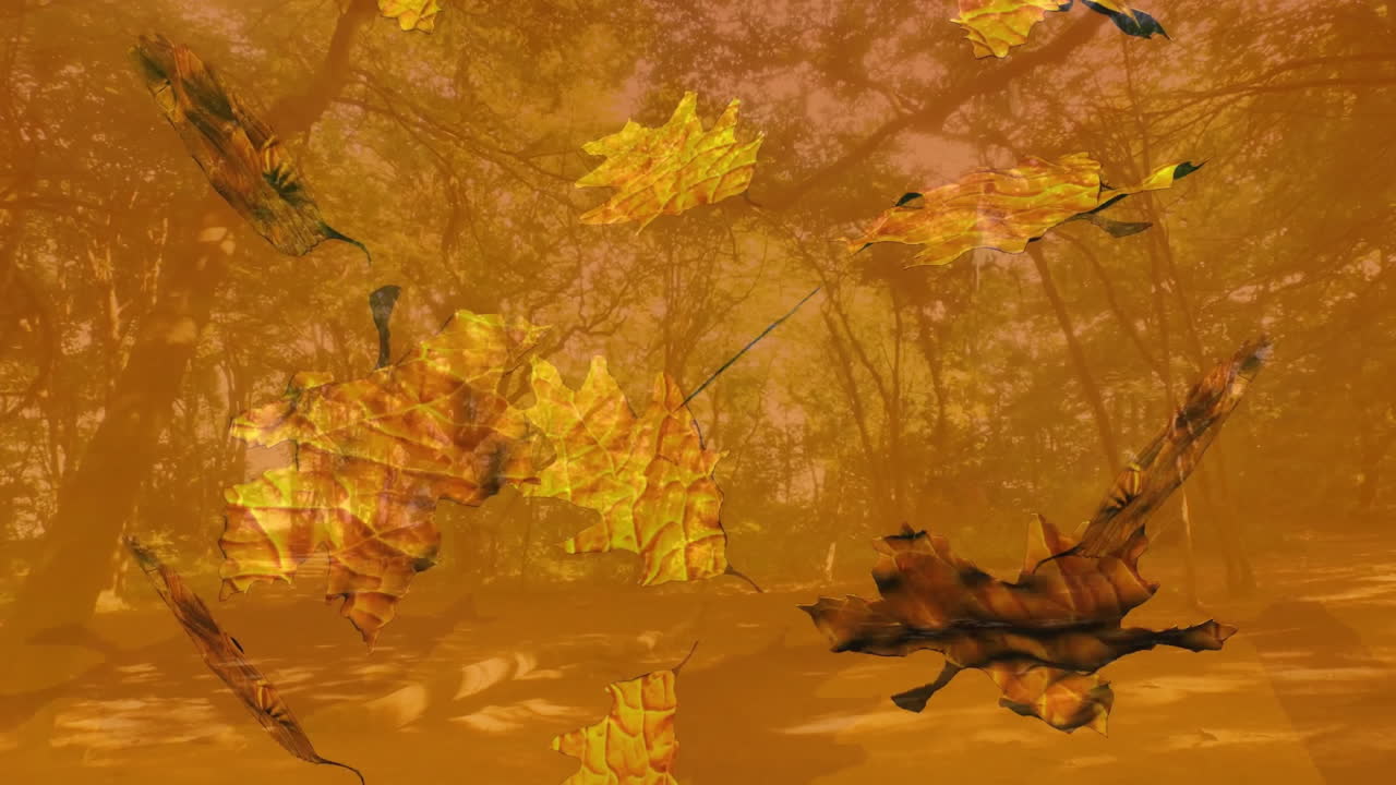 Falling autumn leaves animation over forest background with warm orange tones