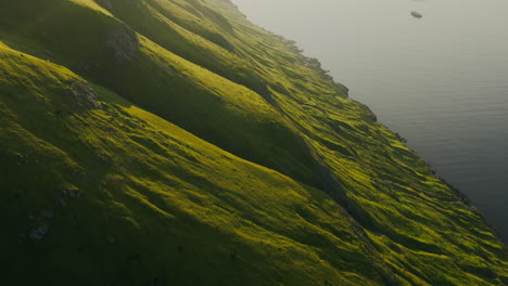 Sunlit Green Coastal Cliffs Meeting the Sea
