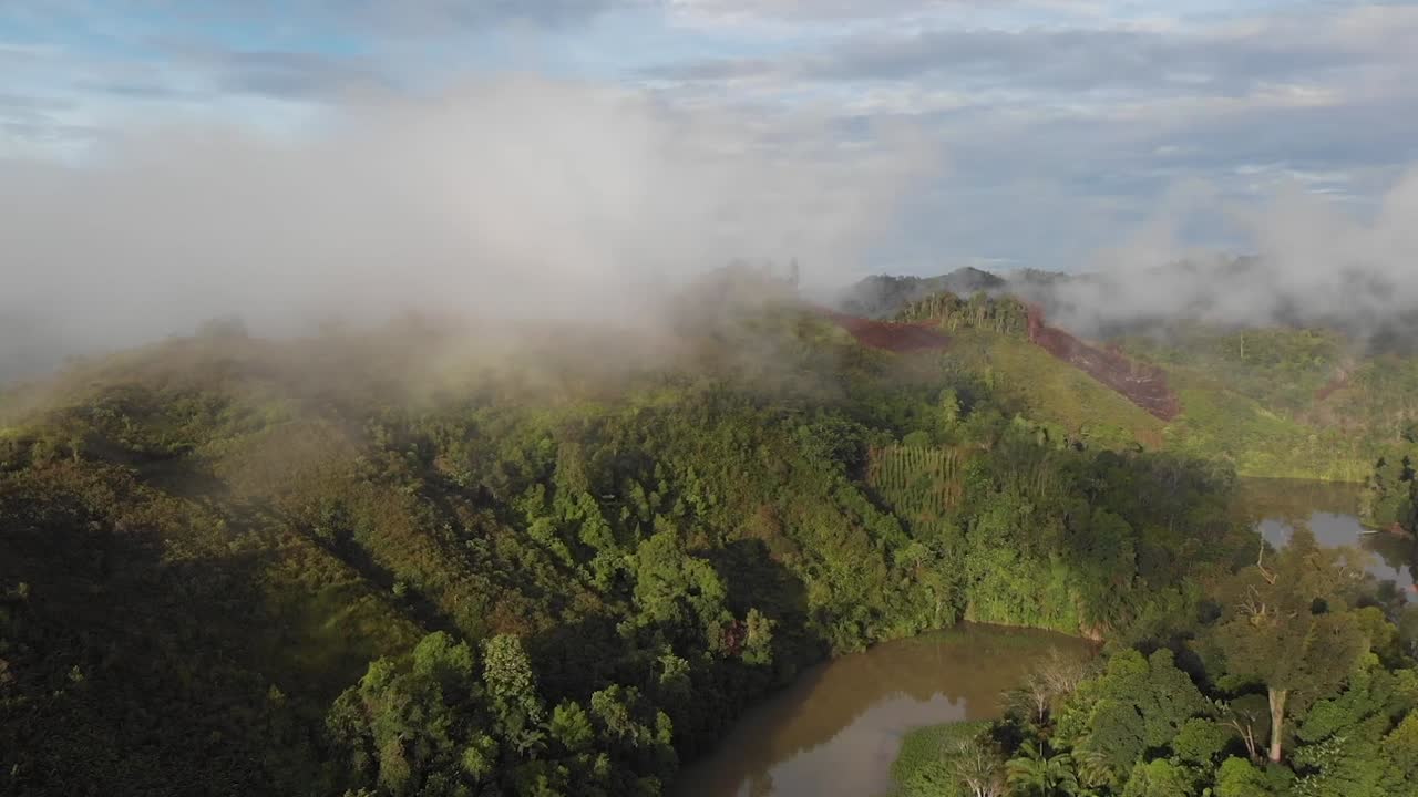 Drone, piantagione di pepe del Sarawak sulle colline tra le nuvole, vicino al fiume.