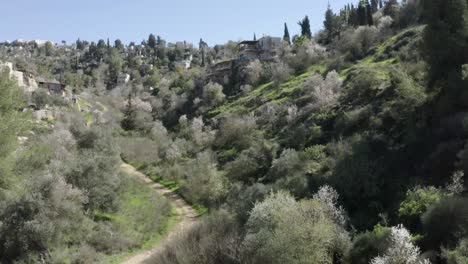 una vista aérea de ein karem, el pueblo de los almendros, jerusalén