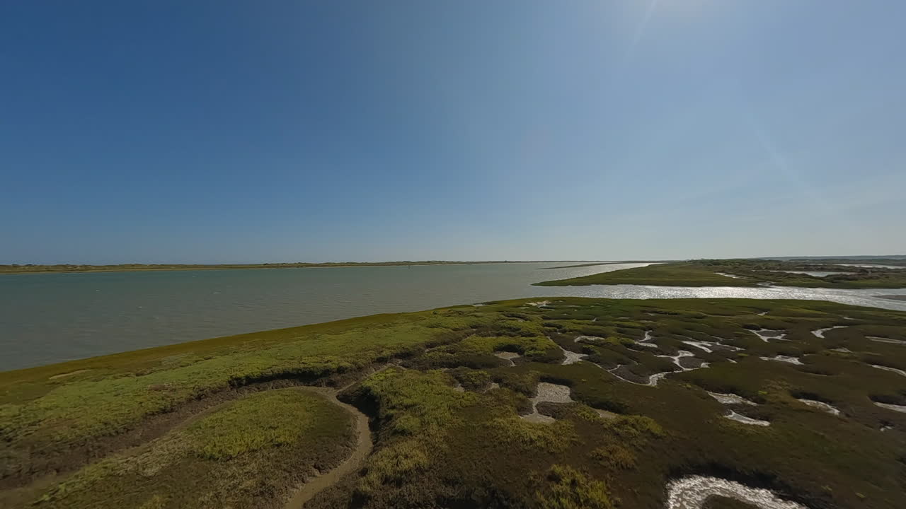 공중: 조류 물은 은 강을 해안선 진 평평으로 조각합니다.