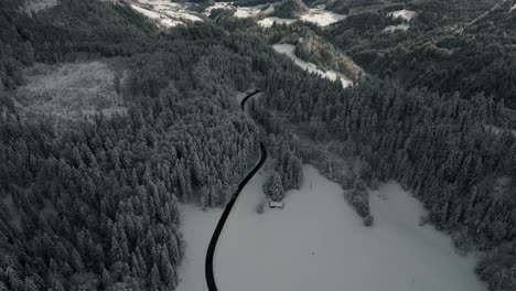 cars on a street in a mountain valley in idyllic snowy landscape with trees and snow