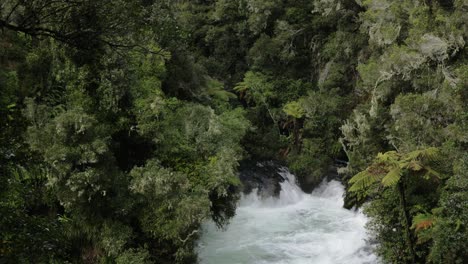 a view of the weir rapid on the kaituna river, rotorua new zealand. this river is used for commercial whitewater rafting trips.