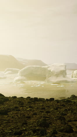 iceberg in the arctic or antarctic