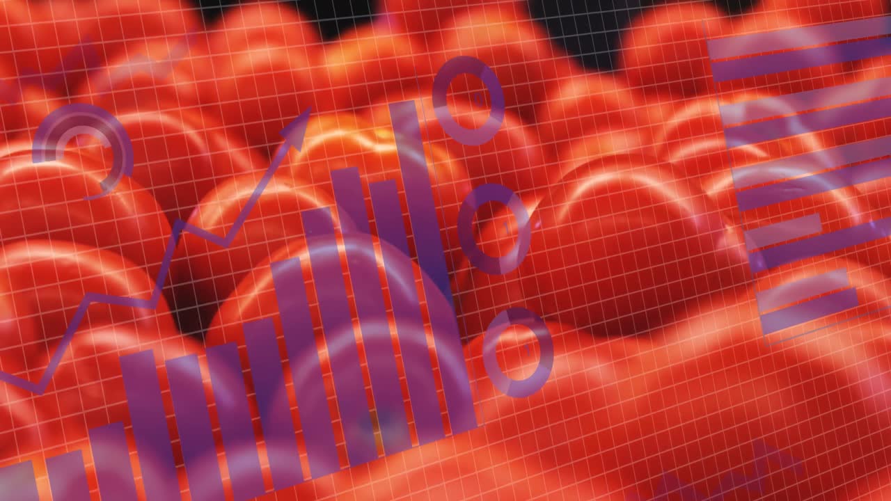 식품 가게에서 토마토에 대한 통계 및 데이터 처리의 애니메이션