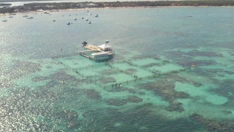 Dolphin-explorer-attraction-and-Punta-Cana-harbor-with-boats,-drone