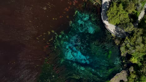 Top-View-Of-Crystal-Clear-Water-Of-Te-Waikoropupu-Springs-In-Golden-Bay,-Takaka,-New-Zealand