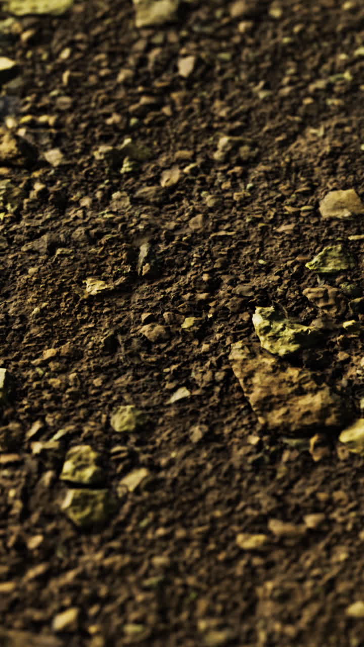 Textured soil with pebbles and rocks in natural environment during daytime