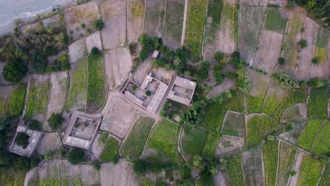 Muddy-homes-amidst-farm-fields