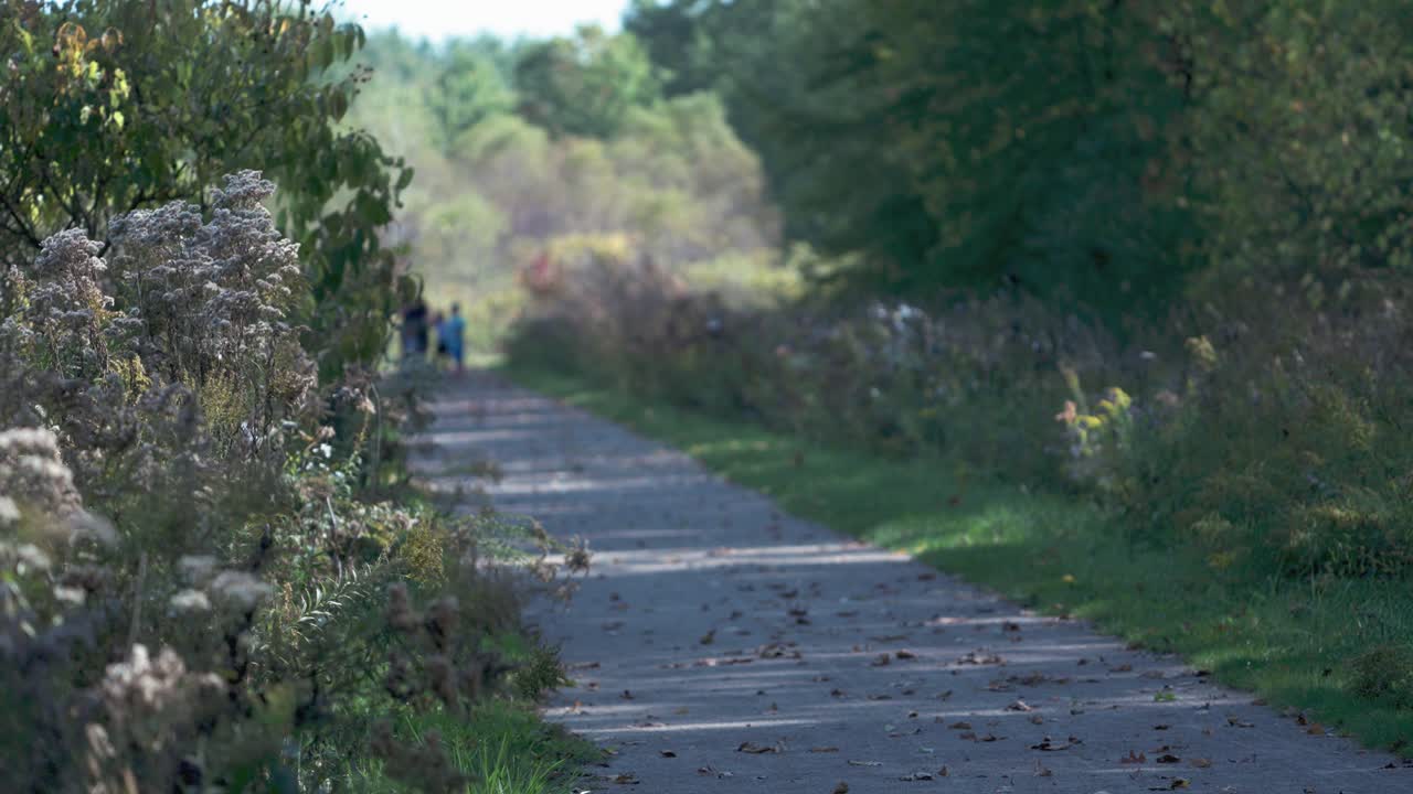Enjoy a family stroll along a scenic path, flanked by lush bushes. Join us for this heartwarming moment in nature!