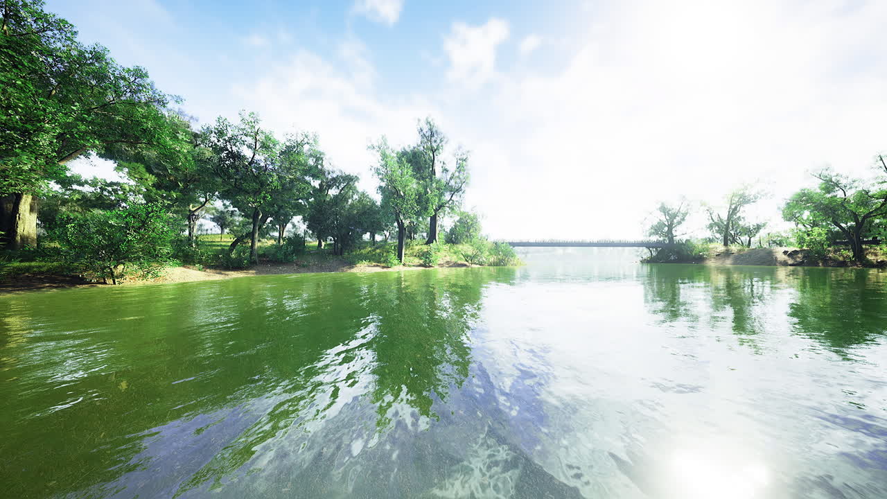 Tranquil river landscape seen under bright sunny sky with lush green trees