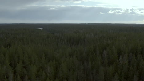 aerial, rising, drone shot tilting over forest towards a calm, mirroring lake luukinjarvi, partly sunny, spring day, in luukki, espoo, finland