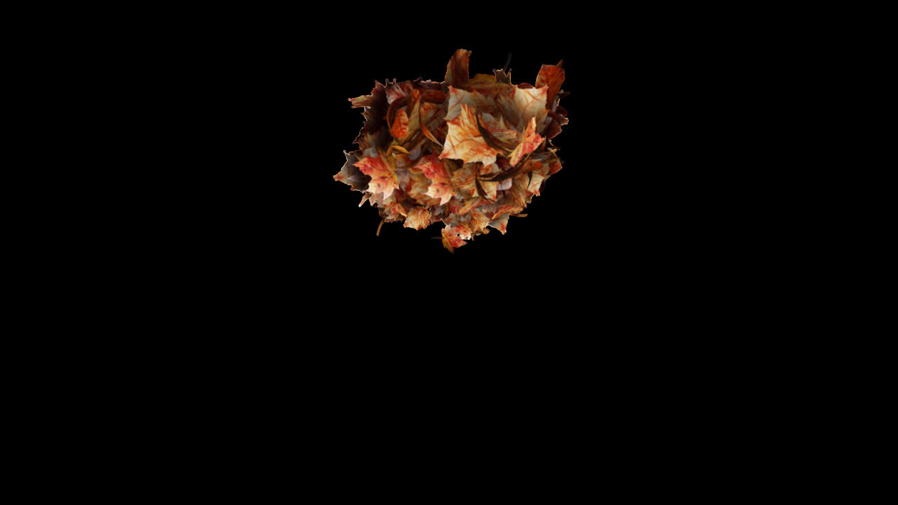 Autumn Leaves Burst Element on Transparent Background