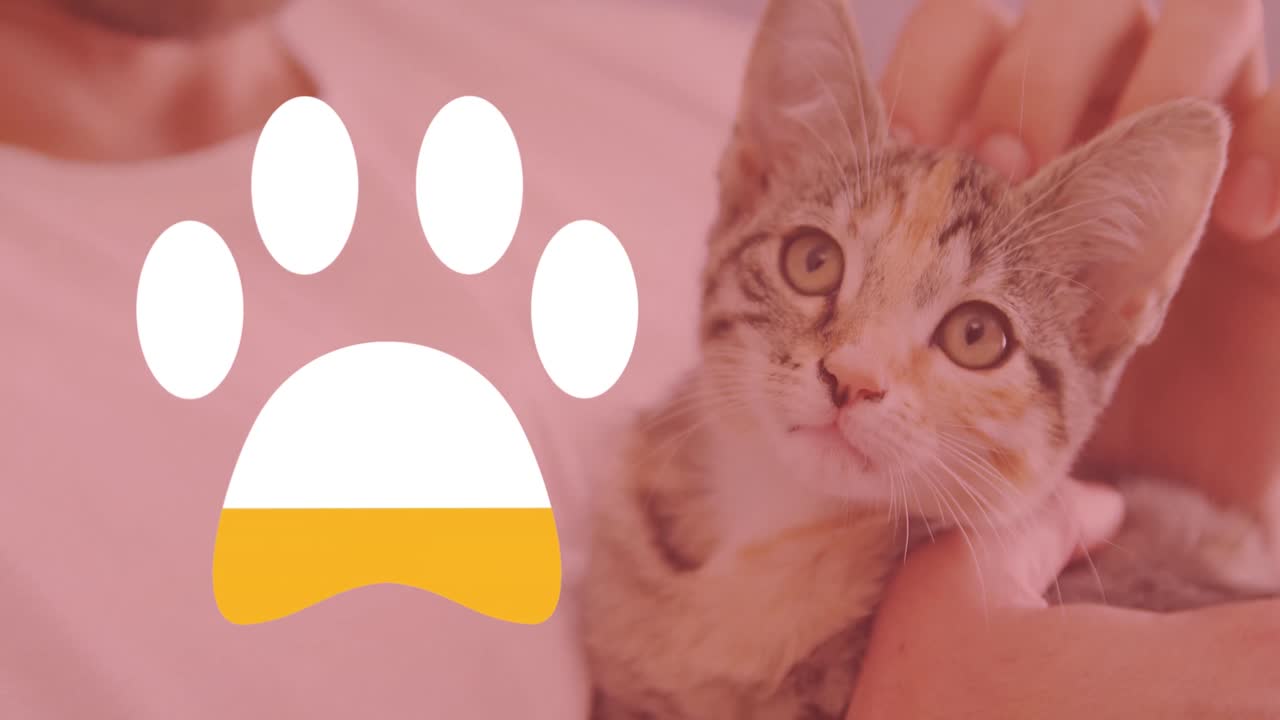 Animation of cat's paw filling up with yellow over kitten being stroked in background