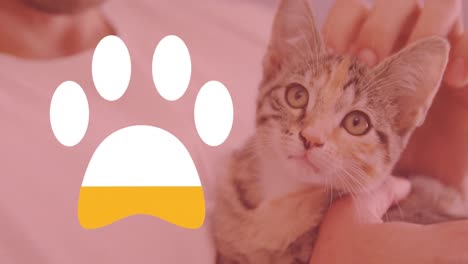 Animation-of-cat's-paw-filling-up-with-yellow-over-kitten-being-stroked-in-background