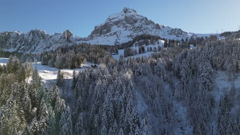 Fronalpstock-Glarus-Schweiz-Sonniger-Winterwald-In-Den-Alpen-Rückwärtsantenne