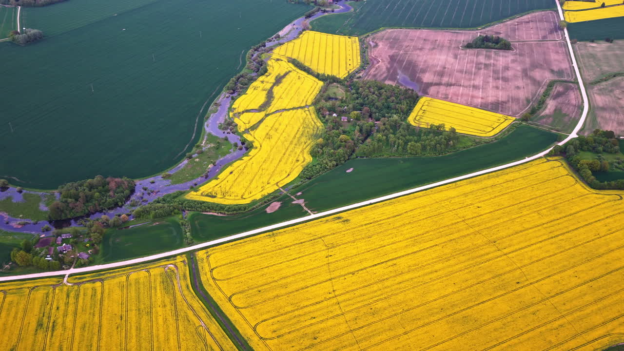Patchwork of rapeseed fields, green crops, and pastures divided by waterways, drone video