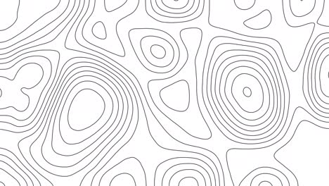 abstract animated outline topographic map. moving waves on white background.