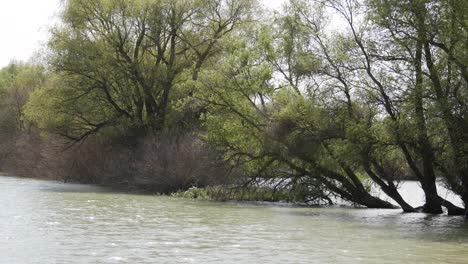 Naturschutzgebiet-Donaudelta