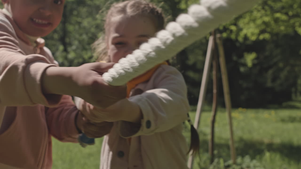 Children Playing Tug of War in the Park