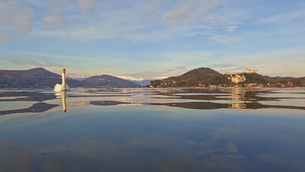 배경에 요새와 눈 덮인 산이 있는 호수 물에서 수영하는 멋진 백조의 낮은 각도 수면 전망을 돌리십시오.